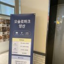 오슬로헤어살롱 | [양산/물금]양산왁싱 동그라미뷰티센터 금액안내/헤어라인왁싱/양산이마왁싱 후기(전후사진있음)