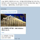 레몬트리 이미지