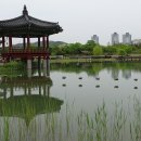 한밭수목원2 이미지