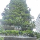 호텔시크 | 부산다낭 2박4일여행 1.5박 미케비치 가성비 숙소 루프탑 수영장 시크랜드호텔(치크랜드)&amp;조식후기