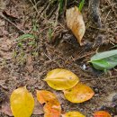 남애초등학교 이미지