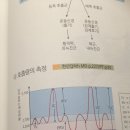 써머리 호흡 강제호기 강제흡기 질문입니다 이미지