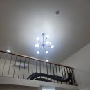 퍼피랜드 이미지