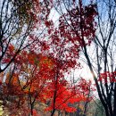 수락산 만남의광장 이미지