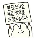 익산 고양이카페 아이캣유 이미지