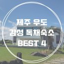 펜션C풀하우스 | 제주 우도 가족끼리 가기좋은 감성 독채숙소 BEST 4+링크 (feat. 4인기준 / 수영장) ･ﾟ✧