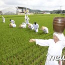 용전마을 입구 이미지