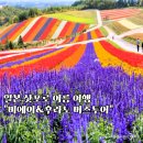 토모야 - 마포구 | 여름 삿포로 비에이 일일 버스투어 토모야 청의호수 흰수염폭포 후기