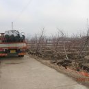 덕의농장 이미지