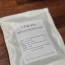 Sloth Coffee Roasters