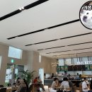 폴바셋강서부민