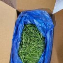 경희농장 | 농라 경희농장 세발나물 2kg 후기