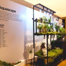 아쿠아플랜트디자인 이미지