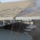 태양약품 이미지