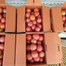 태규농장 이미지