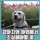 산수유동물병원 이미지