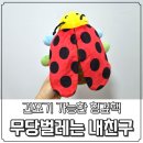 [애플비북스 무당벌레는 내친구] 건조기 가능한 헝겊책 : )
