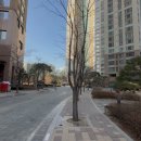 요진세탁소 이미지