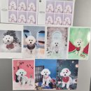 꼼꼼 애견미용실 | 🐶🐾 우리 쵸파, 송도 애견미용실 고민하다 정착한 곳｜1년째 다니는 꼼꼼 애견미용실 내돈내산 후기 ✂️