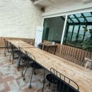 제주 자고가 이미지