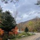 이화산업주유소 이미지