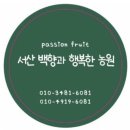 코코지노