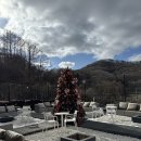 발리당구장 | 춘천숙소 추천 야외 자쿠지와 개별 바베큐가 가능한 춘천풀빌라 발리 376