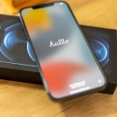 블루테라 이미지