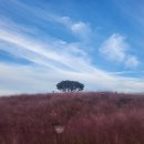 신소양체육공원 이미지