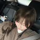 나영파크 이미지
