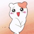 부영6차아파트 이미지