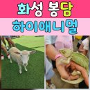 새말안길 이미지