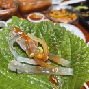 청정산오징어