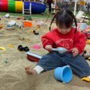[충남 보령] 겨울 실내 딸기체험, 보령팜플러스