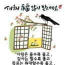 보람온누리약국 이미지