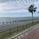 용호 Sea-Side 관광지 | [오사카] 간사이공항 1정거장 아울렛이 있다?! ‘린쿠 프리미엄 아울렛’ 후기(feat.폴로 랄프로렌)