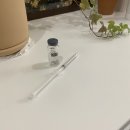 사파동273 | 줄기세포 재생앰플 ache 앰플