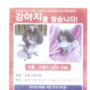 미리내동물병원 이미지