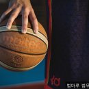 마루법무사사무소 | 채무통합 법마루 법무사 사무소 편안하게 문의해보세요