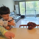 위례나무동물병원 이미지