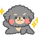 해피애견타운 분당판교점 이미지