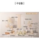 민들레집 | 쌍둥이 백일상대여 집에서 백일셀프촬영 후기 거제백일상차림떡