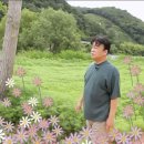 석곡전통시장 이미지