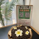 센텀동로 102 | 센텀 포케 샐러드 맛집 샐러바웃 센텀점 스테이크 포케 후기