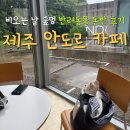 안도르 | 제주 안도르 카페 반려동물 동반 후기 / 티웨이 반려동물 탑승권 할인 비오는 제주 숲멍