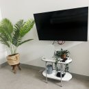 톨랑톨랑 이미지