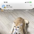 스타여인숙 이미지