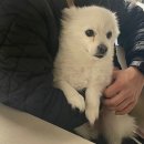 25年1月_(2) 한껏 들떠있는 예비유부의 파티데이🎂🤵🏻‍♀️👰🏻‍♀️