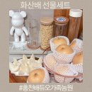 화산농원 | 배선물세트 당도높은 홍천배듀오가족농원 화산배