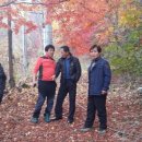 대둔산장 이미지